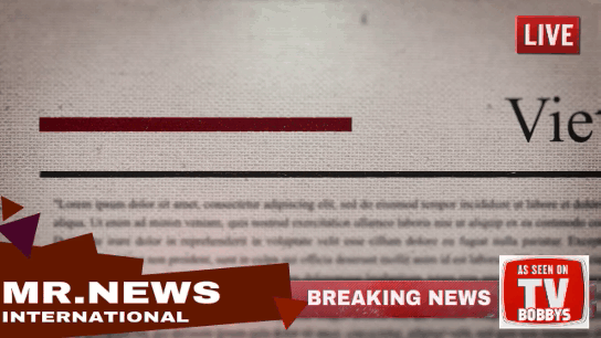 the vietnam news network company